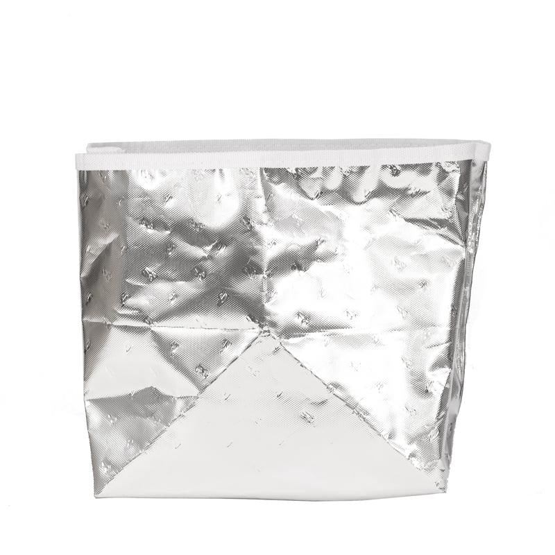 Lunch Bag Insert