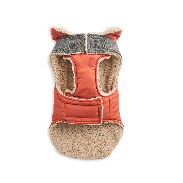 Hotel Doggy Orange Rust Vest - XSmall chest