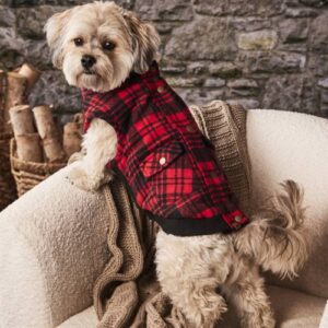 Dog Clothes & Accessories Sale!