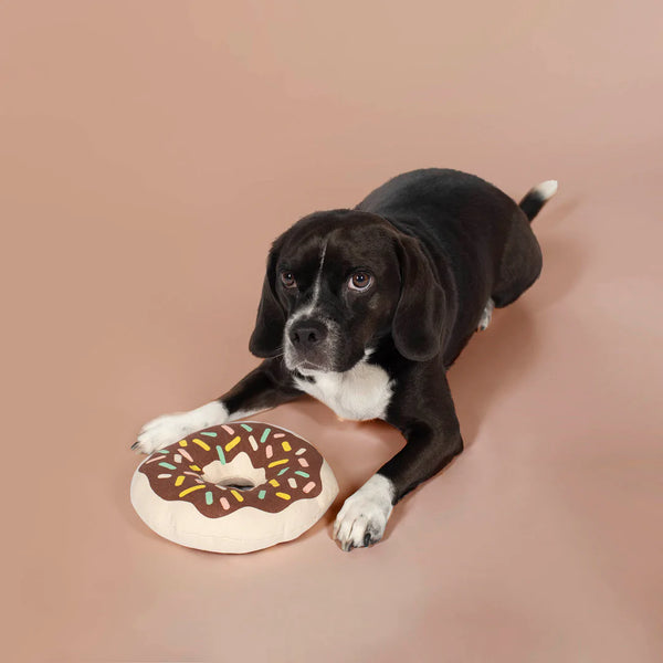 Donut Canvas Dog Toy in use
