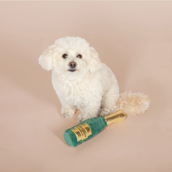 Champagne Bottle Pet Toy in use