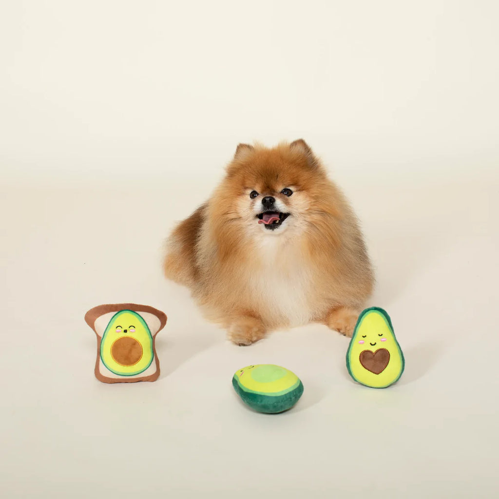 Pet Toy Set/3 Avocado in use