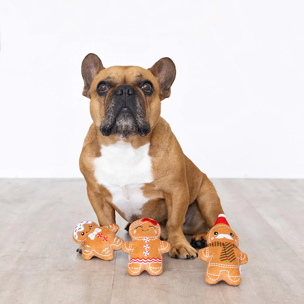 Pet Toy Gingerbread Set/3 in use