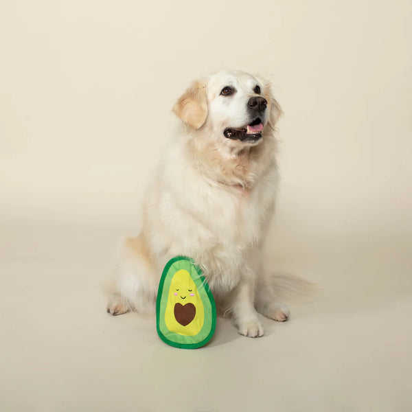 Durable Pet Toy Avocado Love in use