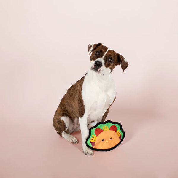 Durable Pet Toy Taco Bout Some Fun in use