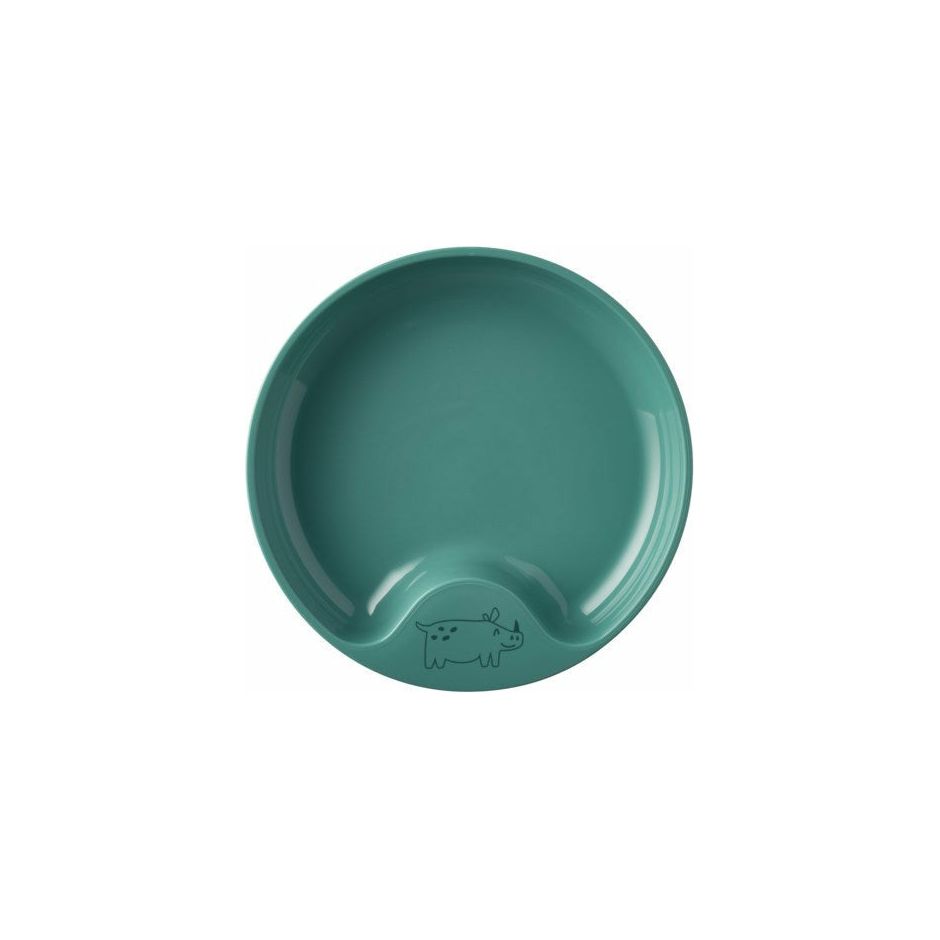 MIO Trainer plate in turquoise.