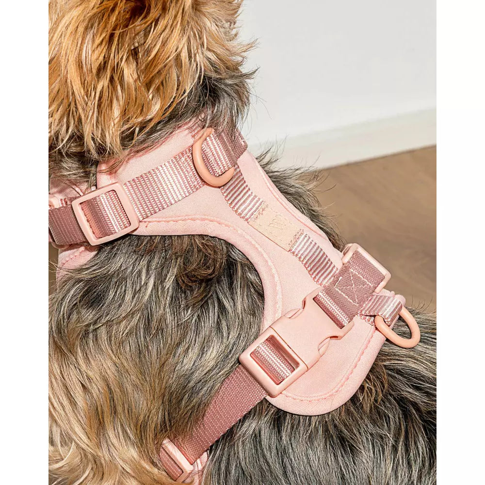 Wild One Cushioned Dog Harness Blush