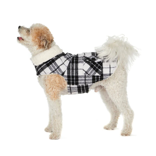 Hotel Doggy Black & White Plaid Jacket - Medium on dog