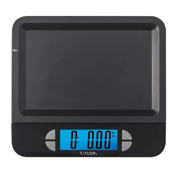 Taylor Digital Cordless Scale